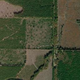 Scipio Arkansas High Resolution Satellite Map