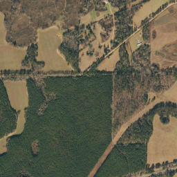 East Bend Alabama High Resolution Satellite Map