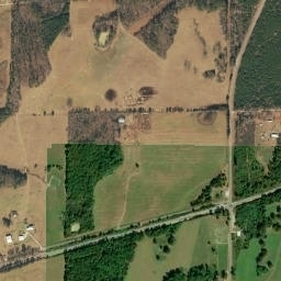 Grasmere Alabama High Resolution Satellite Map