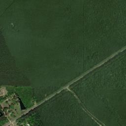 Sanders Rd Starkville MS 39759 USA High Resolution Satellite Map