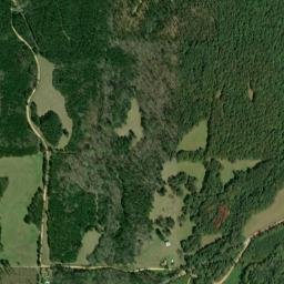 Delma Alabama High Resolution Satellite Map