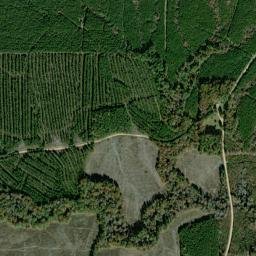 Mount Olive Arkansas High Resolution Satellite Map