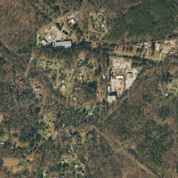 Laceys Chapel Alabama High Resolution Satellite Map