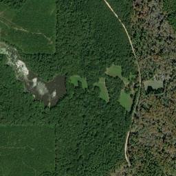 Riley Arkansas High Resolution Satellite Map