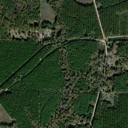 Trafalgar Arkansas High Resolution Satellite Map