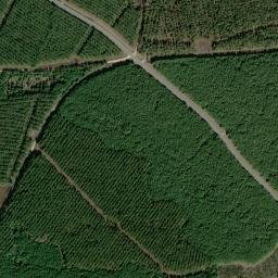 Longview Crossing Arkansas High Resolution Satellite Map