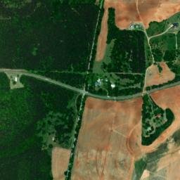 Berneys Alabama High Resolution Satellite Map