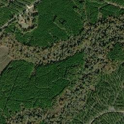 Berea Arkansas High Resolution Satellite Map