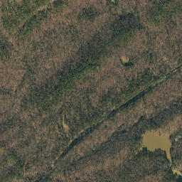 Watkins Alabama High Resolution Satellite Map