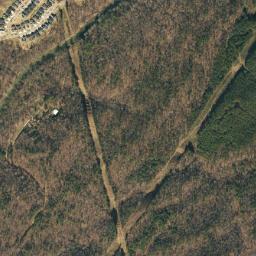 Langston Ford Alabama High Resolution Satellite Map