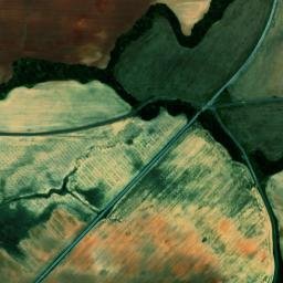 Rendalia Alabama High Resolution Satellite Map