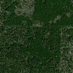 Warnock Springs Arkansas High Resolution Satellite Map