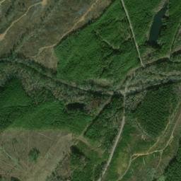 Yolande Alabama High Resolution Satellite Map