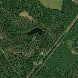 Carloss Alabama High Resolution Satellite Map