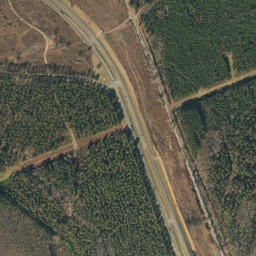 Erratta Alabama High Resolution Satellite Map