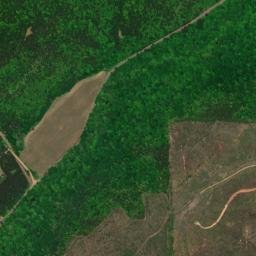 Risers Alabama High Resolution Satellite Map