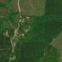 Chambers Springs Alabama High Resolution Satellite Map