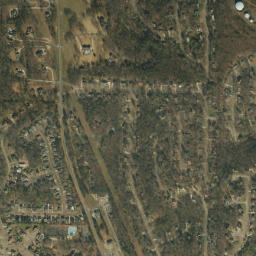 Dearing Downs Alabama High Resolution Satellite Map