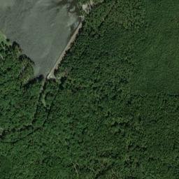 Tombigbee National Forest Choctaw Lake Road Ackerman MS High Resolution Satellite Map