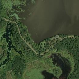 Brooksville-Louisville Road, Starkville, MS High Resolution Satellite Map