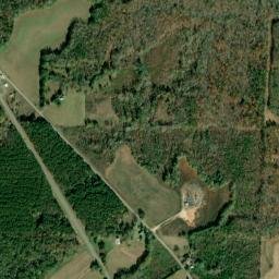 Tennant Alabama High Resolution Satellite Map