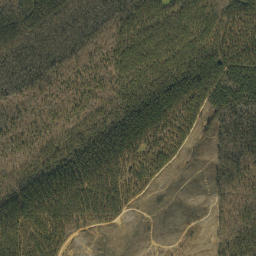 Shelby County map(satellite map)