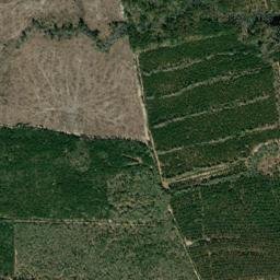 Barnwell County map(satellite map)