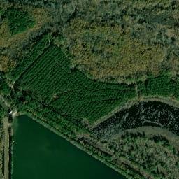 Stillions Arkansas High Resolution Satellite Map