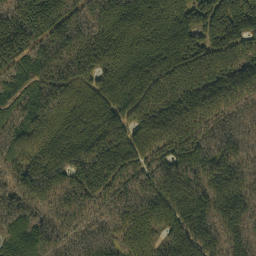 Mossboro Alabama High Resolution Satellite Map