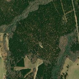 Hamburg Saint Park Road, Mitchell, GA 30820 High Resolution Satellite Map