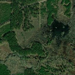 2633 Columbia Road 50, Stamps, AR 71860 High Resolution Satellite Map