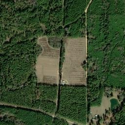 Pugh Arkansas High Resolution Satellite Map