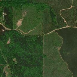 Gage Alabama High Resolution Satellite Map