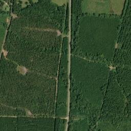 Lois Spring Alabama High Resolution Satellite Map