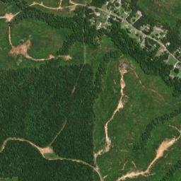 Forest Green Park Alabama High Resolution Satellite Map