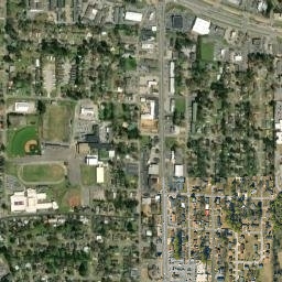 Birdway Drive Alabama High Resolution Satellite Map