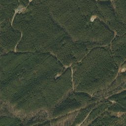 Lindseys Crossing Alabama High Resolution Satellite Map