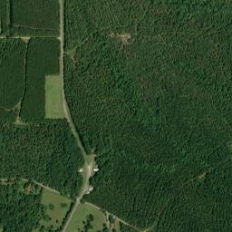 Sapps Alabama High Resolution Satellite Map