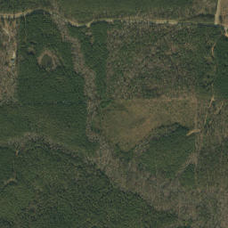 Joinertown Alabama High Resolution Satellite Map