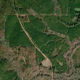 Cornhouse Alabama High Resolution Satellite Map