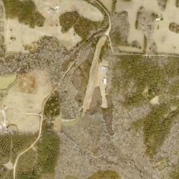 Whitten Lane, Luthersville, GA 30251, USA High Resolution Satellite Map