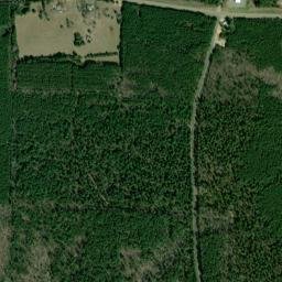 Cairo Arkansas High Resolution Satellite Map