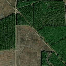 Whitlow Arkansas High Resolution Satellite Map