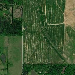 980 Greenfield Rd Brooksville MS High Resolution Satellite Map