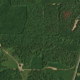 Beasley Alabama High Resolution Satellite Map