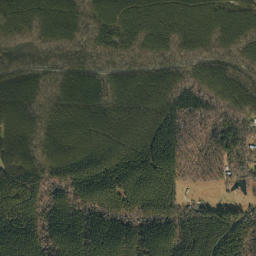 Straven Alabama High Resolution Satellite Map