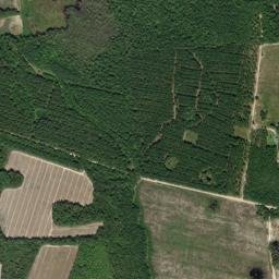 Bamberg County map(satellite map)