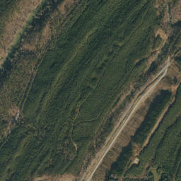 Glen Carbon Alabama High Resolution Satellite Map