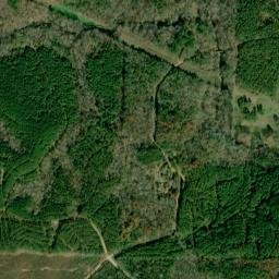 Harmon Crossroads Alabama High Resolution Satellite Map