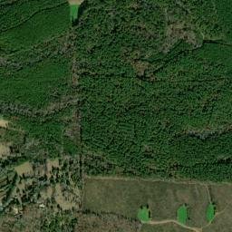 Beaver Town Alabama High Resolution Satellite Map